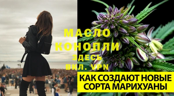 2c-b Долгопрудный