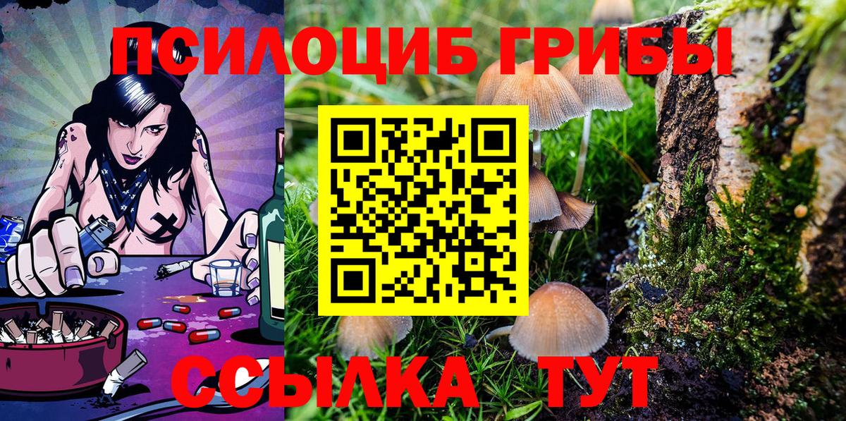 Псилоцибиновые грибы GOLDEN TEACHER  Псилоцибиновые грибы Psilocybe  Георгиевск  Вход с VPN 